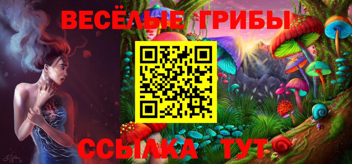 Дзержинский  Псилоцибиновые грибы GOLDEN TEACHER  Вход с VPN 