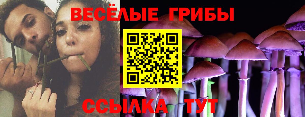 Галлюциногенные грибы прущие грибы Дзержинский